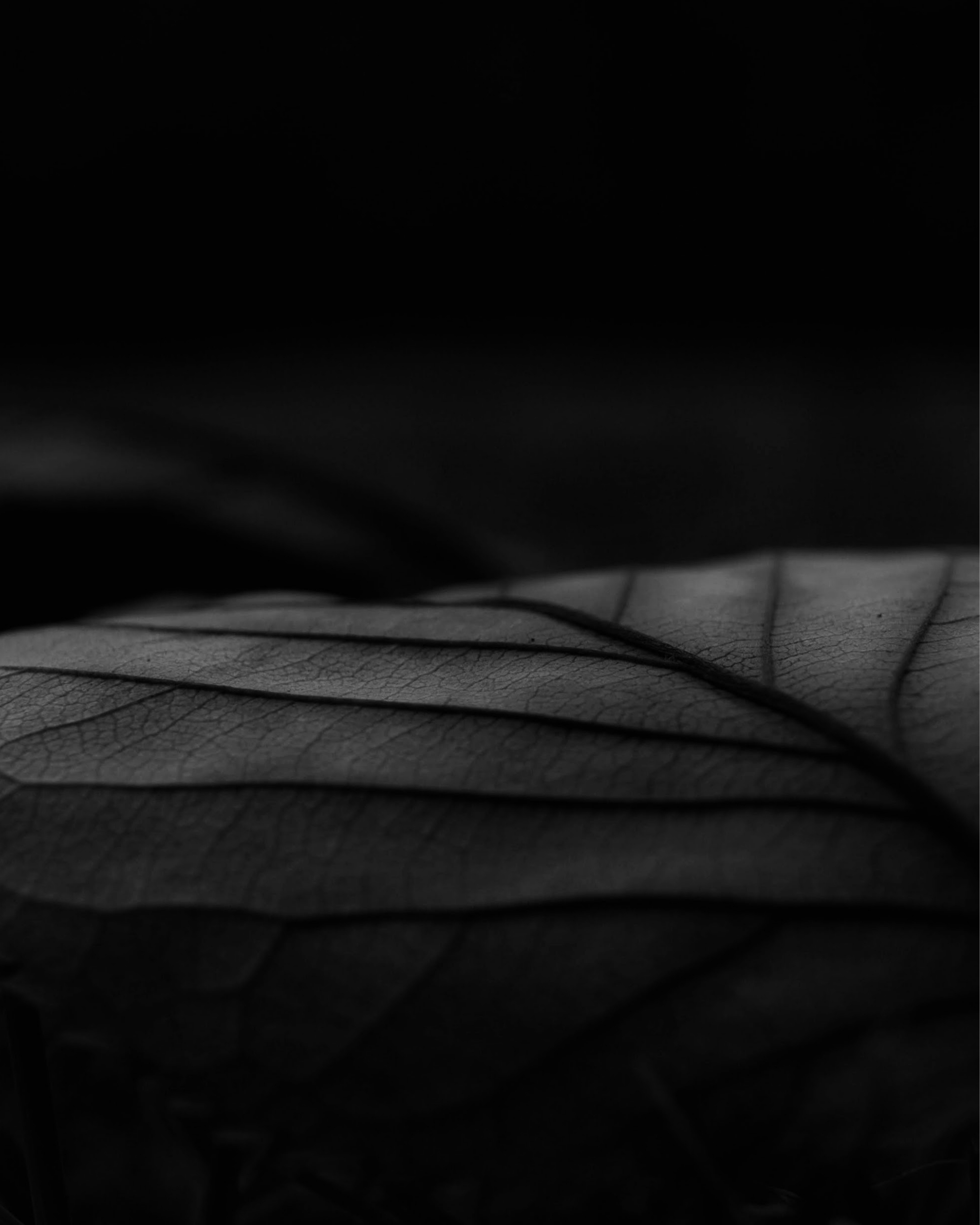 Savoir-faire Jewelles